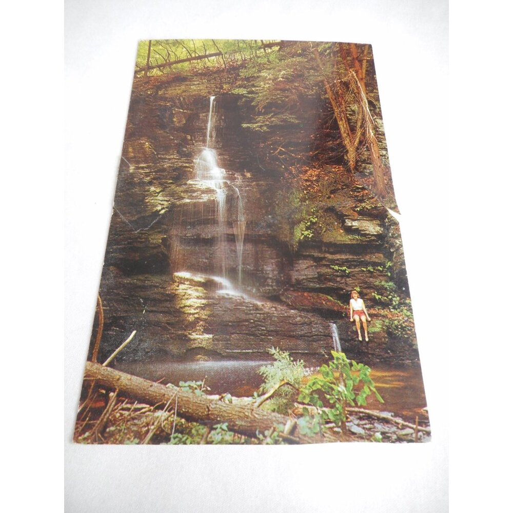 Vintage Postcard unposted Bushkill Falls, PA Bridal Veil Falls 1960s